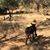 Sharon Shafran's profile image
