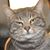 Elizabeth Trevisan's profile image
