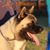 Leslie Thompson's profile image