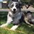 Cori Anderson Smith's profile image
