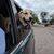 Linda Mabry's profile image