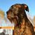 DanielandKimberly Bernal's profile image