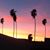 Naomi Goffman Burn's profile image