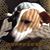 Joann Koster's profile image