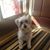 Celeste Emerick Church's profile image