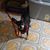 Aida Alicea's profile image