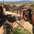 Cherry Blackwolf's profile image