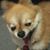 Amy Corral's profile image