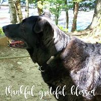 Jenny Buelow's profile image