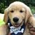 Jody Raymond's profile image
