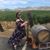 Alyson Nevins's profile image