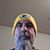 Christopher Sherman's profile image