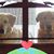 Catherine Martin's profile image