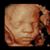 Samantha Harms-Kedley's profile image