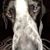 Jeri Lynn Stuge's profile image