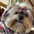 Valerie Danzilli Walters's profile image