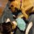 Lisa Kelley McGrath's profile image