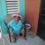 David Ramos's profile image