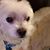 Mary Klein's profile image