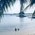 Diana Pate's profile image