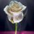 Diamond Eyes's profile image
