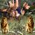 Baxter Brunson's profile image
