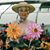 Bessie Chronopoulos's profile image
