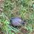 Joanne Groat's profile image