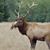 Gary Templeton's profile image
