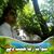 Majid Swati's profile image