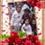 Orfanel Ocampo's profile image