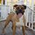 Bogart Harrison's profile image