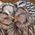 Cheryl Buchanan Cavanaugh's profile image
