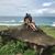 Lisa Dietz's profile image