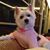 Linda Garcia's profile image