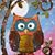 Susan Dreger Bogert's profile image