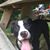 SteveShirley Haight Nichols's profile image