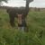 Katie Robelia's profile image