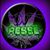 Djresse Purple Stoner's profile image