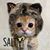Debbie Buongiorne Gent's profile image