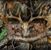John Thomas's profile image
