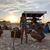 Sarah Sharman Ervin's profile image