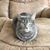 Gloria Bare Davis's profile image