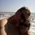 Autty Morris's profile image