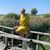 Sanita Sanita's profile image