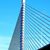 Susan Staben Richards's profile image