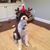 Andrea Hahn Sullivan's profile image