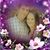 Natashia Thomas's profile image