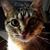 Pamela Retterer's profile image
