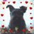 Carolina McCormick's profile image